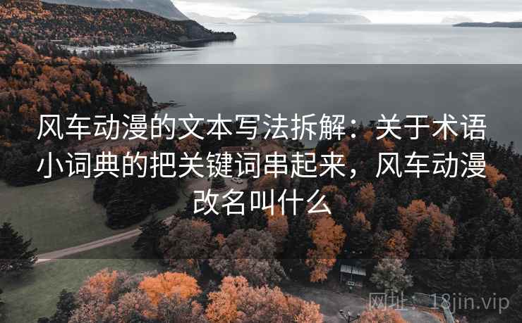 风车动漫的文本写法拆解：关于术语小词典的把关键词串起来，风车动漫改名叫什么  第1张